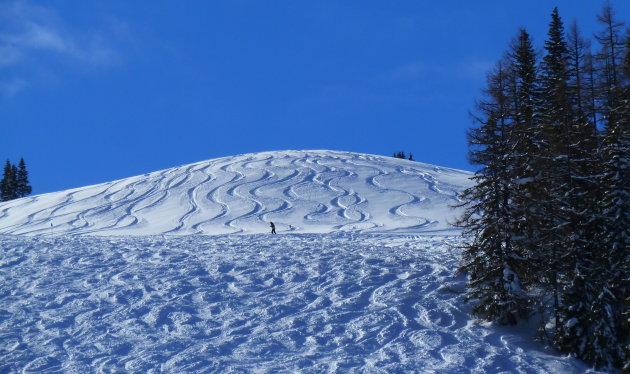 Poedersneeuw