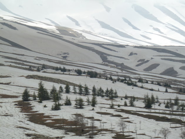 Libanon in de sneeuw!