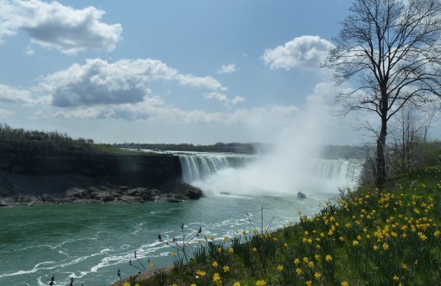 Falls in het voorjaar