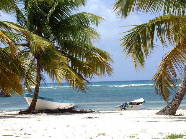 Boten in Isla Saona