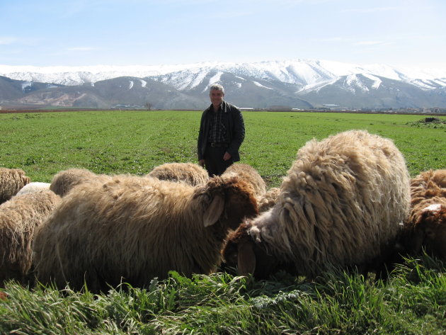 Boer Libanon