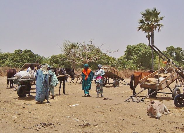 Veemarkt in Nguéniène