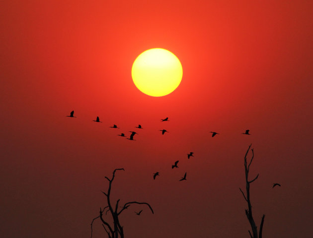 Zonsondergang op Lake Kariba