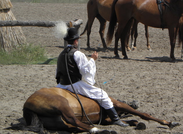 Bugac Puszta (paardemennen)