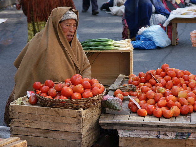 Tomaten