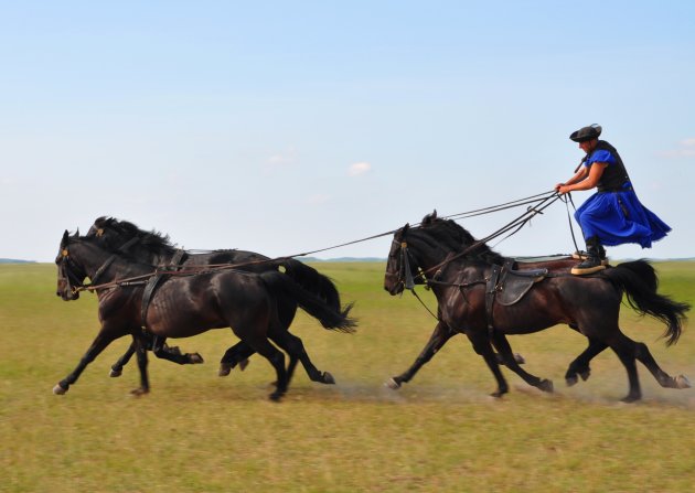 Zonder zadel in galop over de Hongaarse poesta