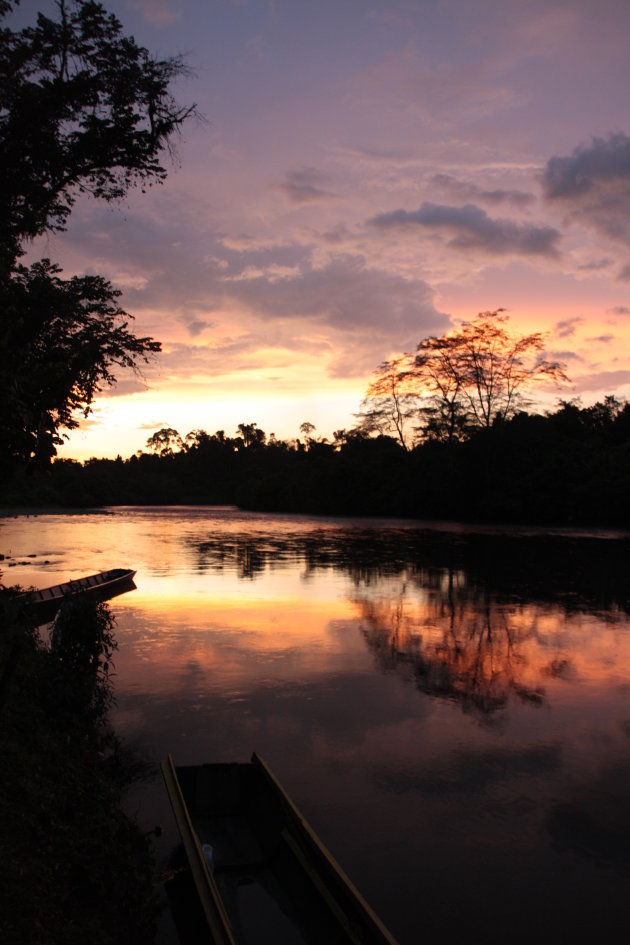 Zonsondergang in de jungle