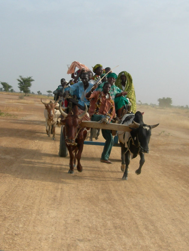 Op weg naar huis