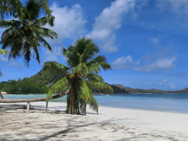 Cote d'Or beach Praslin