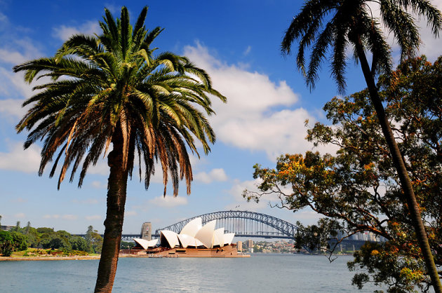 Sydney's Hotspots