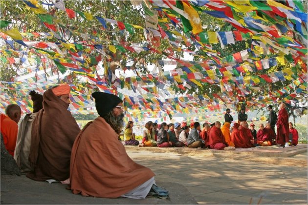 onder de bodhiboom