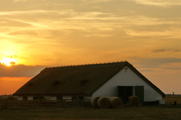 Poesta boerderij