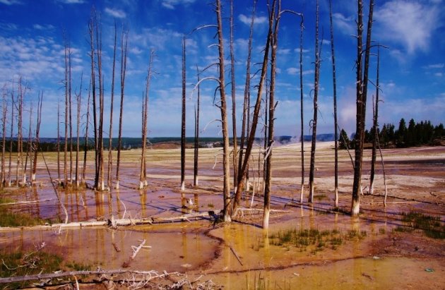 Yellowstone National Parc