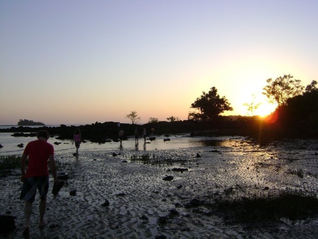 Zonsopkomst bij laag water