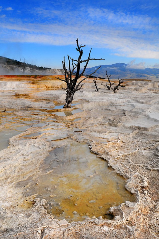 Mammoth Hot Springs