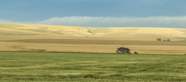 Landschap Zuid Australie