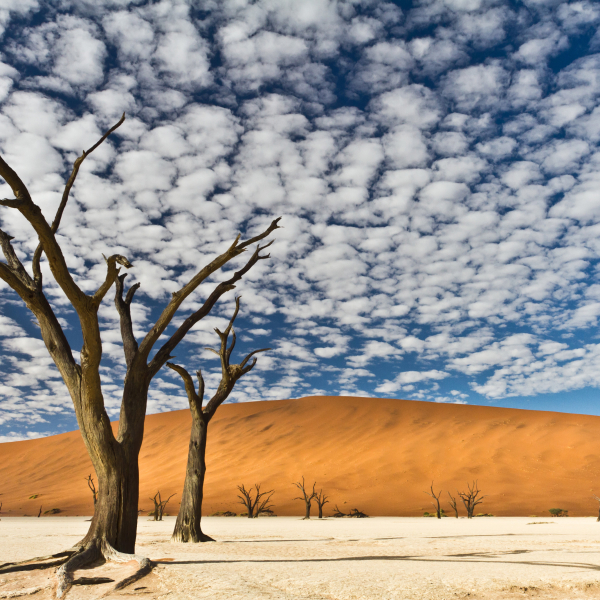 '420865' door Hbplaatjes