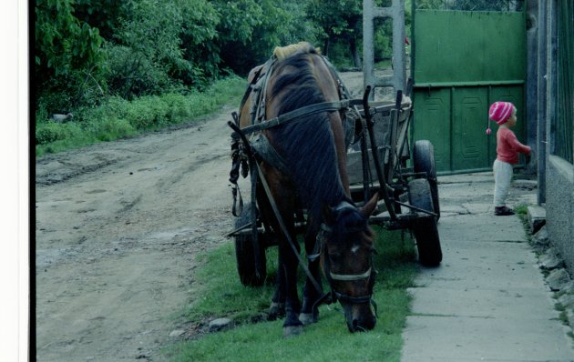 platteland van Roemenië 