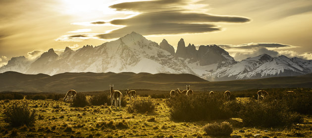 Torres del Paine panorama