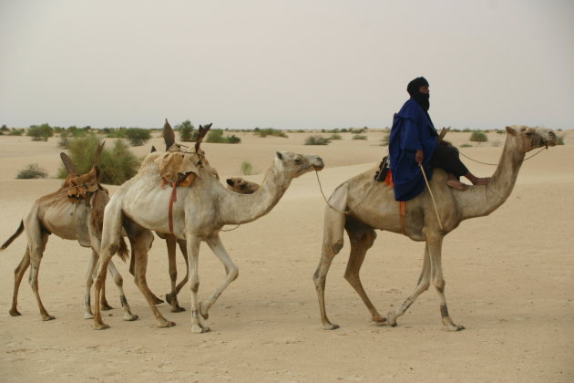 Tuareg in Sahara