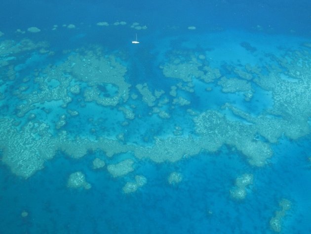 Great barrier reef