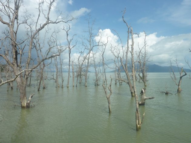 BAKO National Park