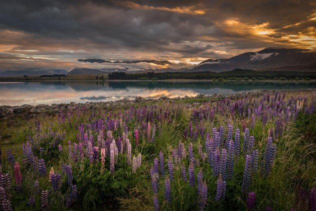 Zonsopkomst aan Lake Tekapo