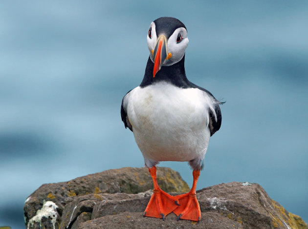 Op zijn zondags op Latrabjarg