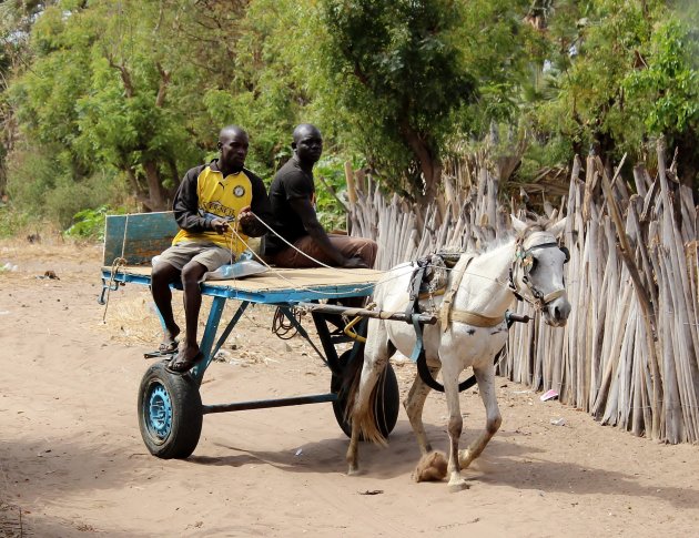 Paard en wagen