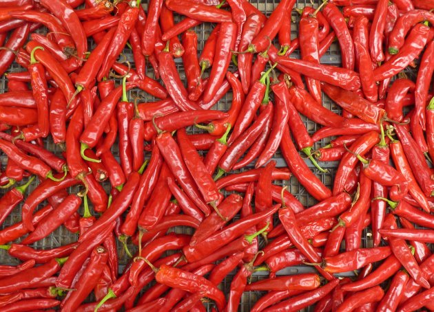 Red Pepper