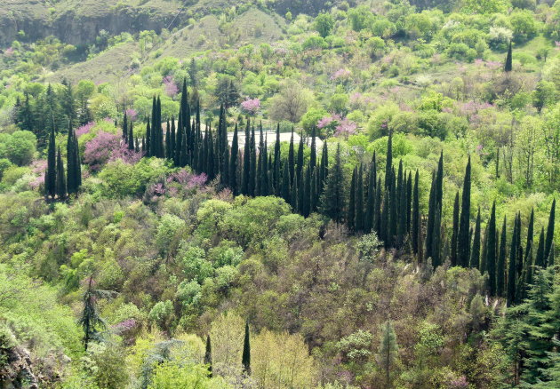 Botanische tuinen