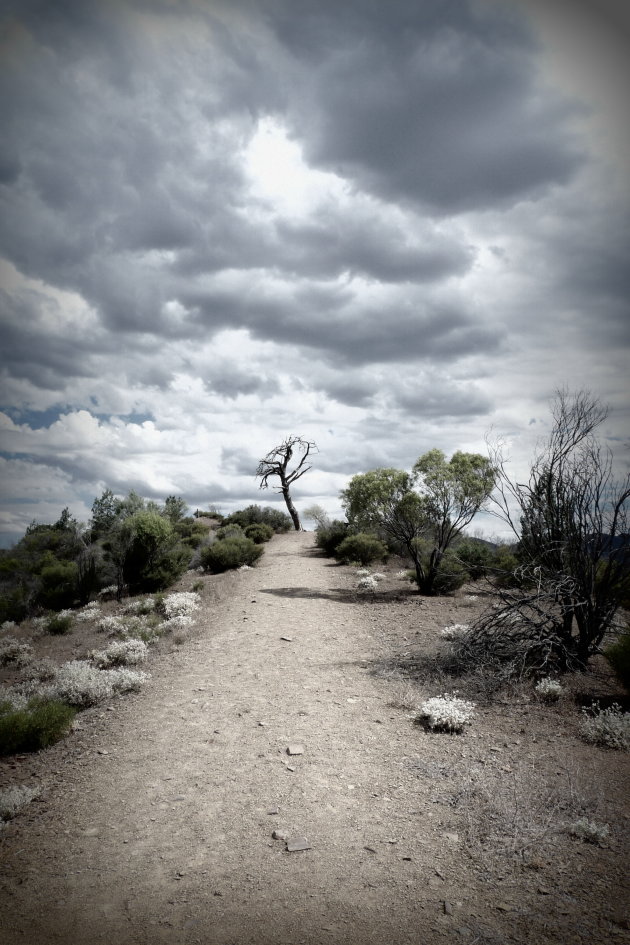 Wilpena Pound