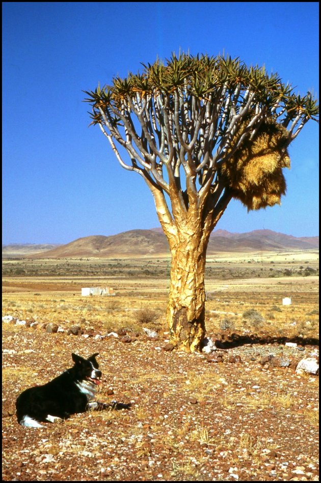 Op weg naar Namibië