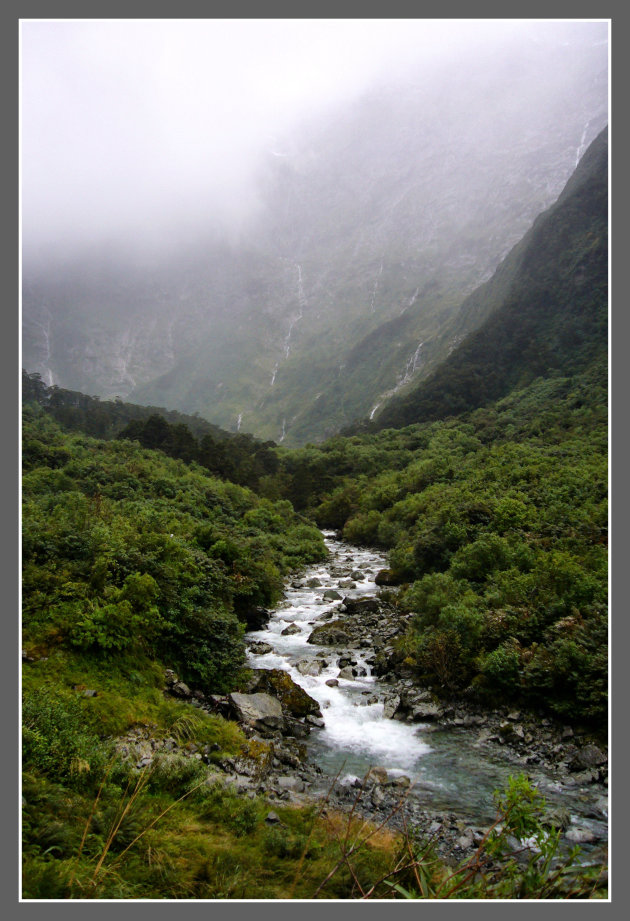 Clinton Valley op de Milford Track