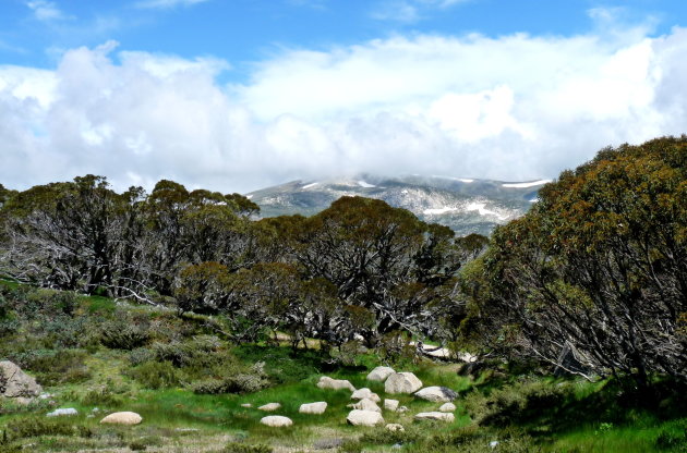 Snowy Mountains