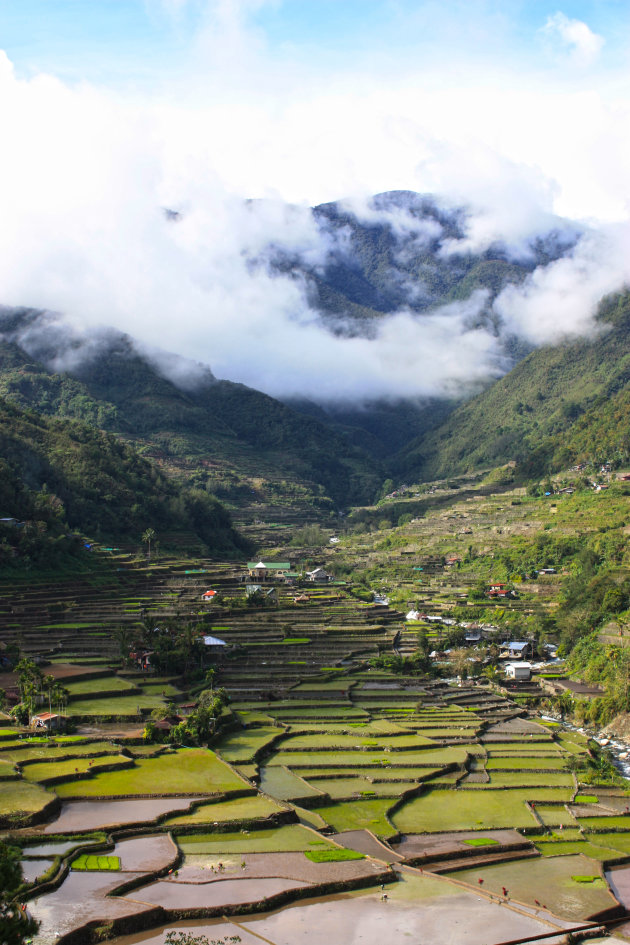 RIjstvelden Banaue