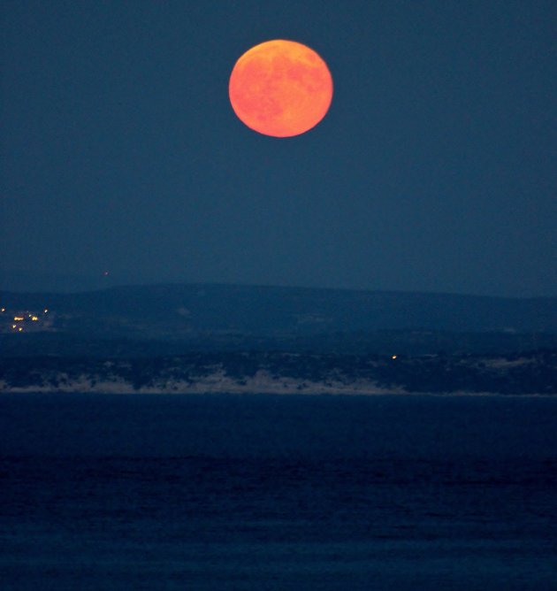 Volle maan