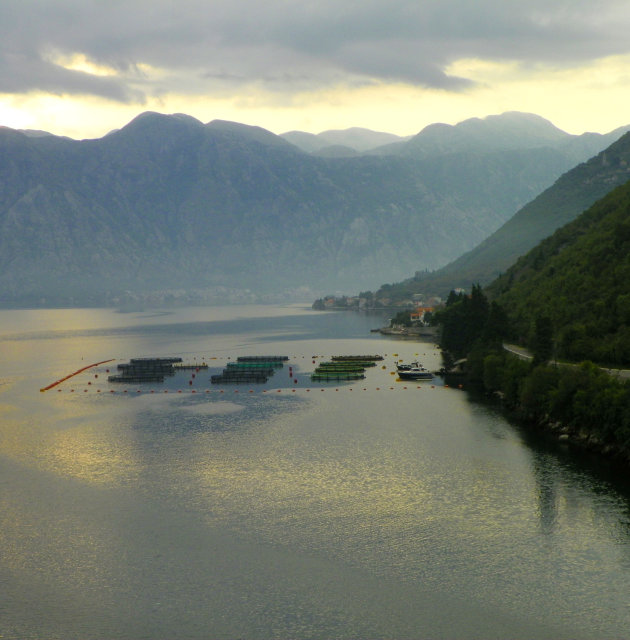 De fjorden nabij Kotor en visvangst