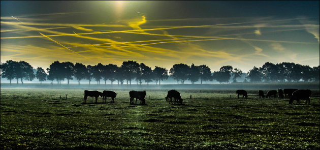 Vroeg in het ochtendlicht