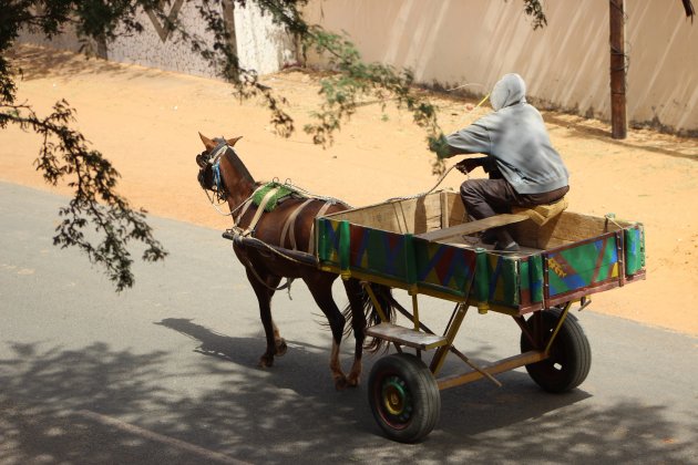 Paard & wagen