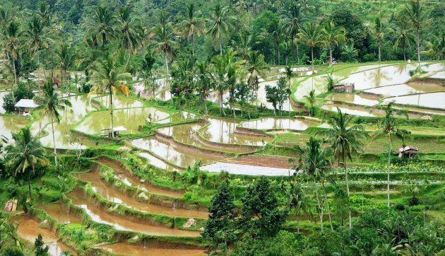 Onderweg op Bali