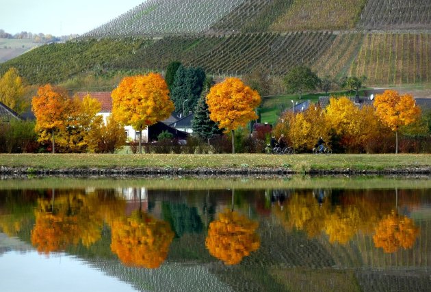 Herfst aan de Moezel