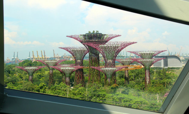 Gardens by the Bay