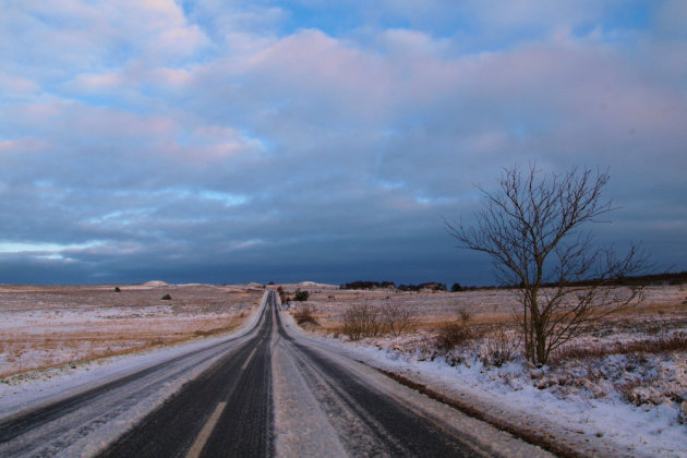 Sneeuwlandschap