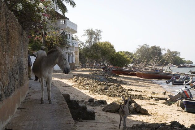 Lamu transport