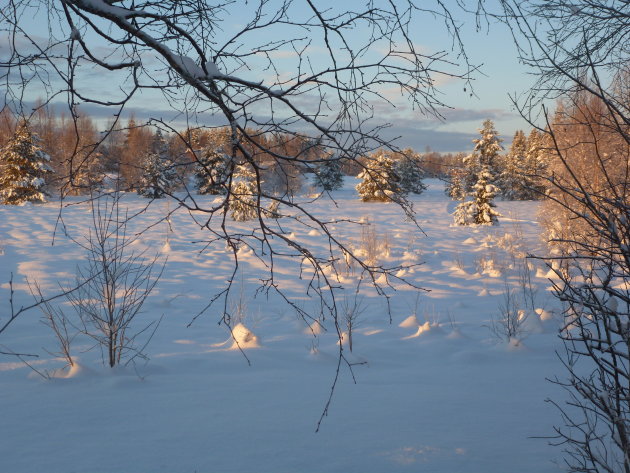 Winterlandschap