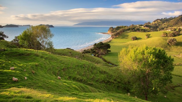 Coromandel