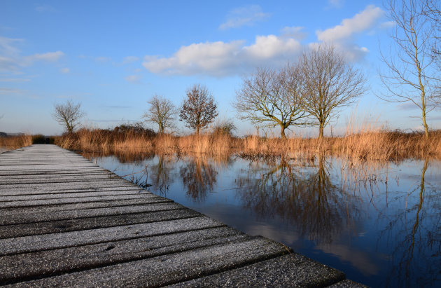 Natuurgebied Huis ter Heide