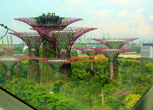  Naar Gardens By The Bay