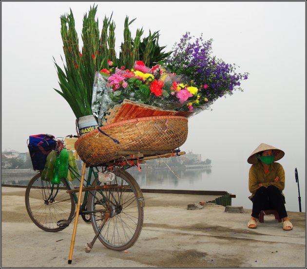 Bloemenfiets